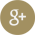 Google Plus